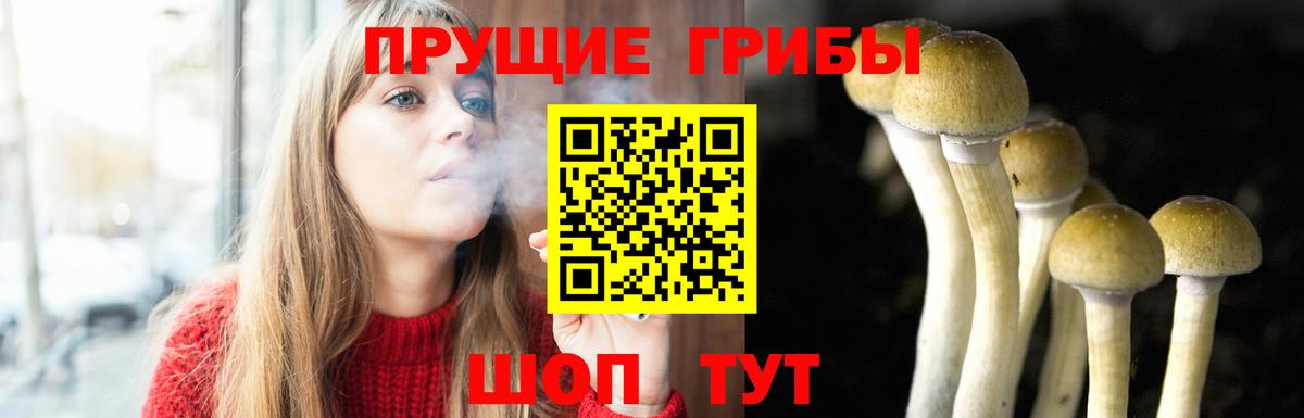 Псилоцибиновые грибы мицелий  Вход с VPN  Кизилюрт  Галлюциногенные грибы прущие грибы 
